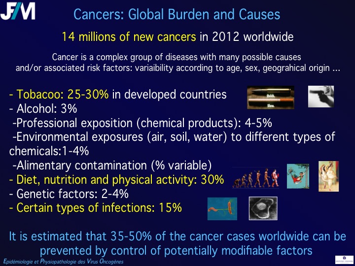 Infectious Agents and Cancers:Prevalence and Importance in Public Health in India.