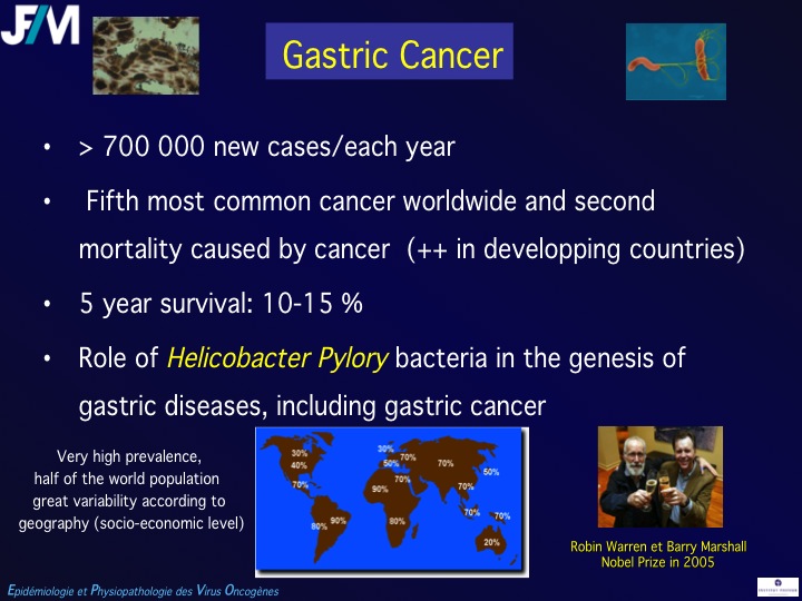 Infectious Agents and Cancers:Prevalence and Importance in Public Health in India.