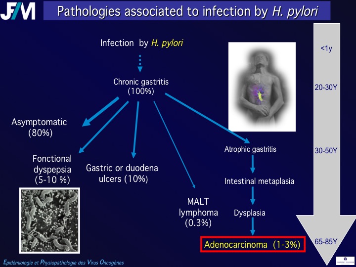 Infectious Agents and Cancers:Prevalence and Importance in Public Health in India.