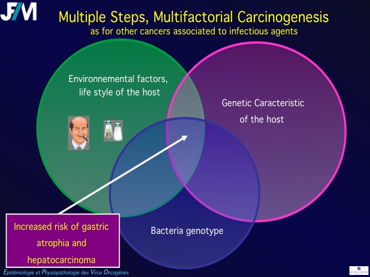 Infectious Agents and Cancers:Prevalence and Importance in Public Health in India.