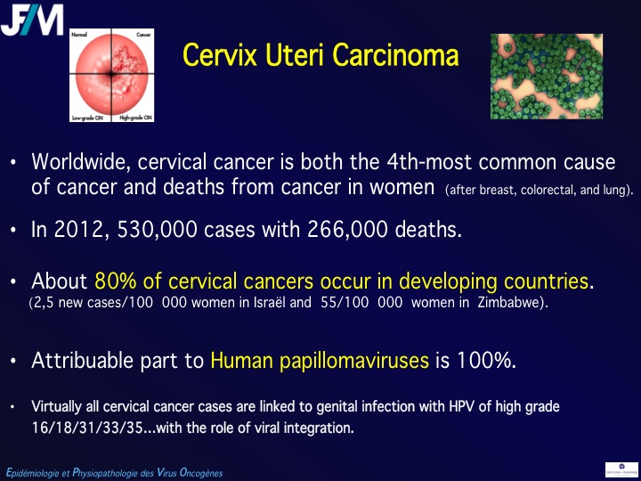 Infectious Agents and Cancers:Prevalence and Importance in Public Health in India.