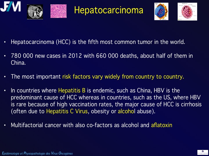Infectious Agents and Cancers:Prevalence and Importance in Public Health in India.