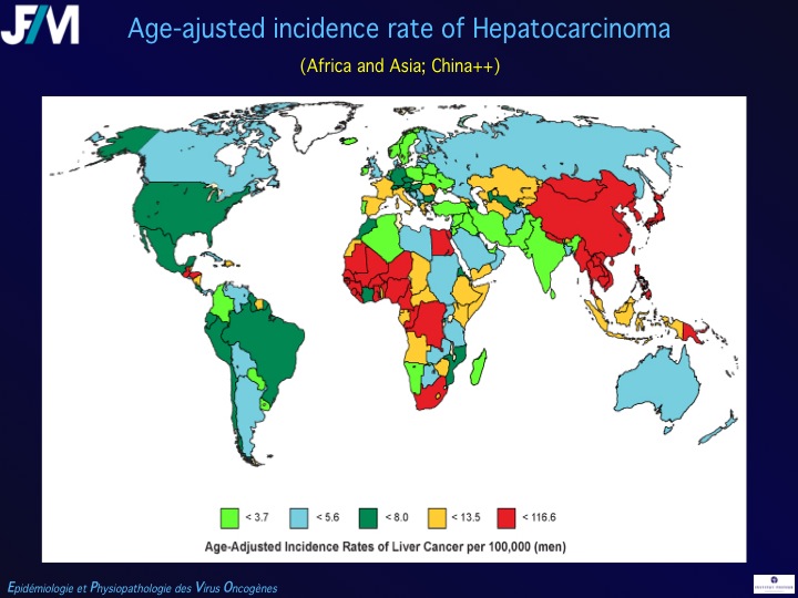 Infectious Agents and Cancers:Prevalence and Importance in Public Health in India.