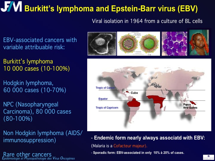 Infectious Agents and Cancers:Prevalence and Importance in Public Health in India.