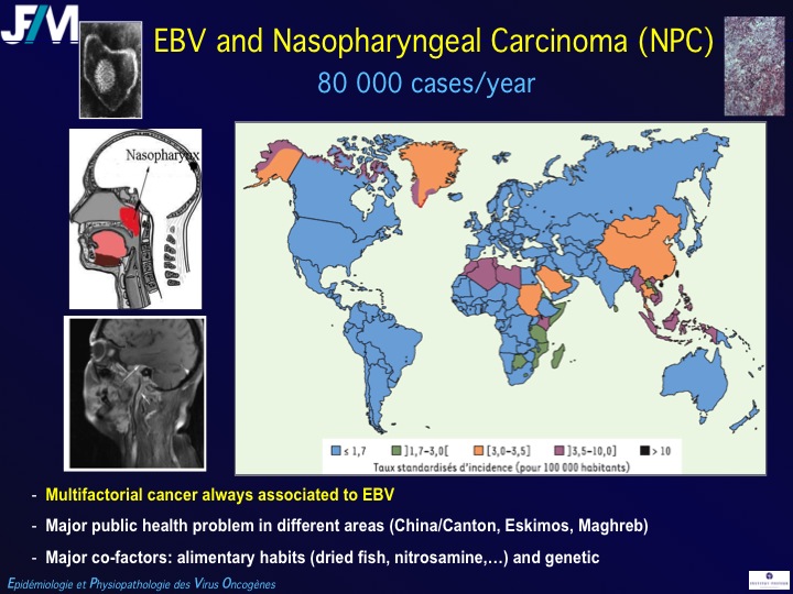Infectious Agents and Cancers:Prevalence and Importance in Public Health in India.