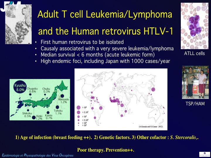Infectious Agents and Cancers:Prevalence and Importance in Public Health in India.