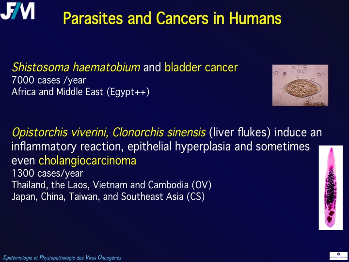 Infectious Agents and Cancers:Prevalence and Importance in Public Health in India.